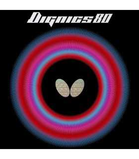 DIGNICS 80
